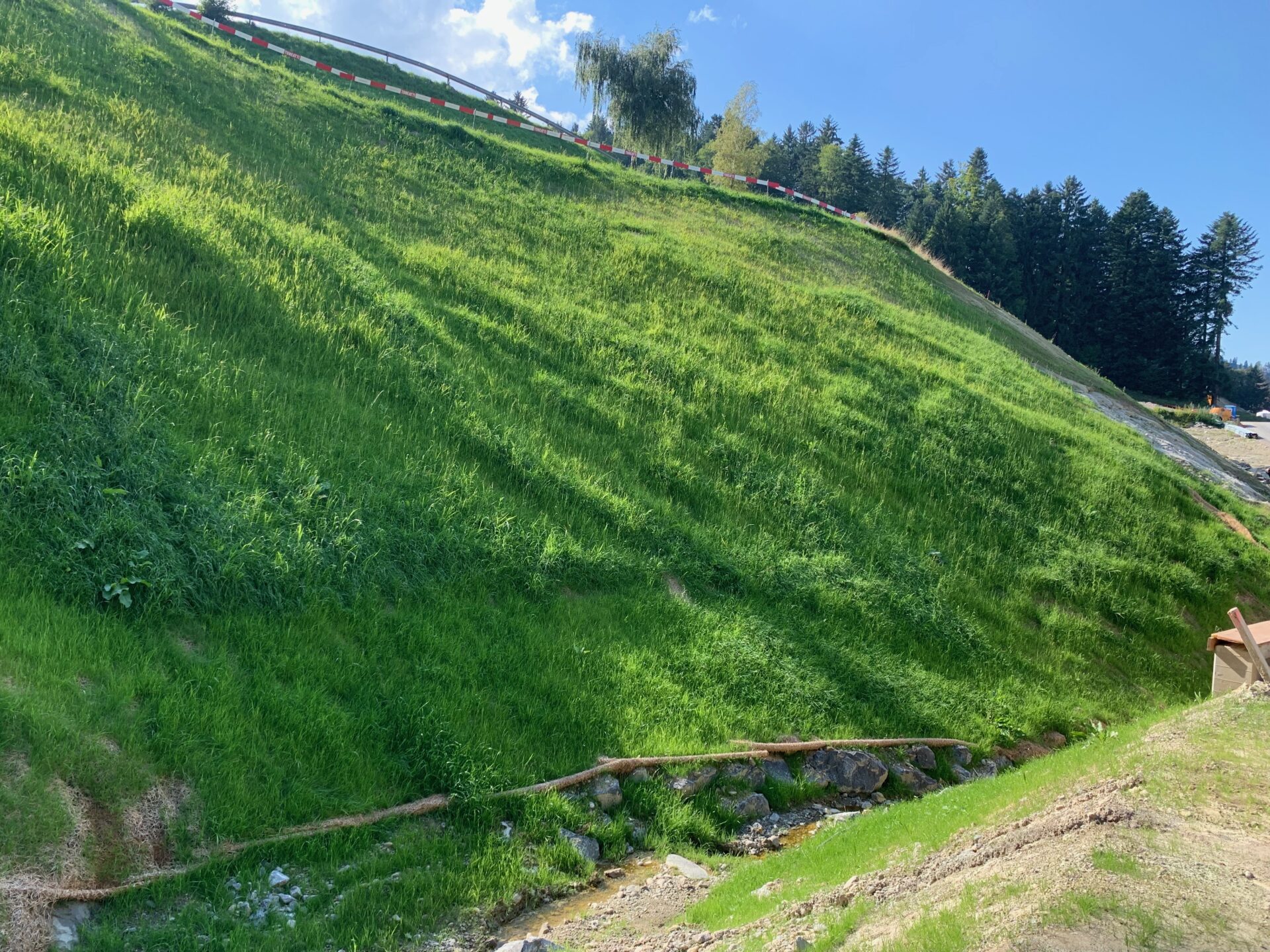 Howolis Erosionsschutzvlies Organic, 240 cm x 25 m, 60 m2 – Bild 3